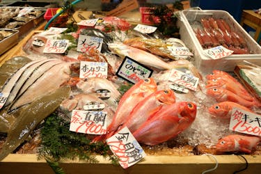 Tour guidato del mercato ittico di Tsukiji di Tokyo